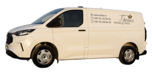 Trasporto internazionale dei defunti